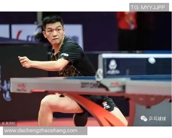 从零开始掌握乒乓球战术技巧全面指南助你成为乒乓高手